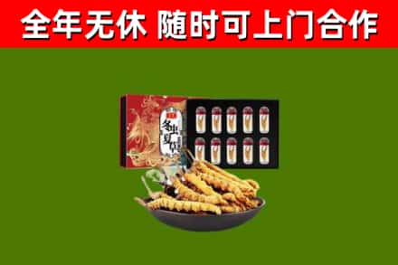 汝南回收冬虫夏草价格